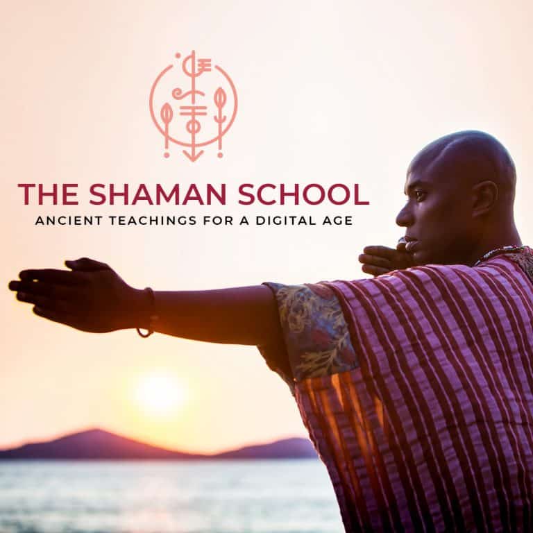 The Shaman School